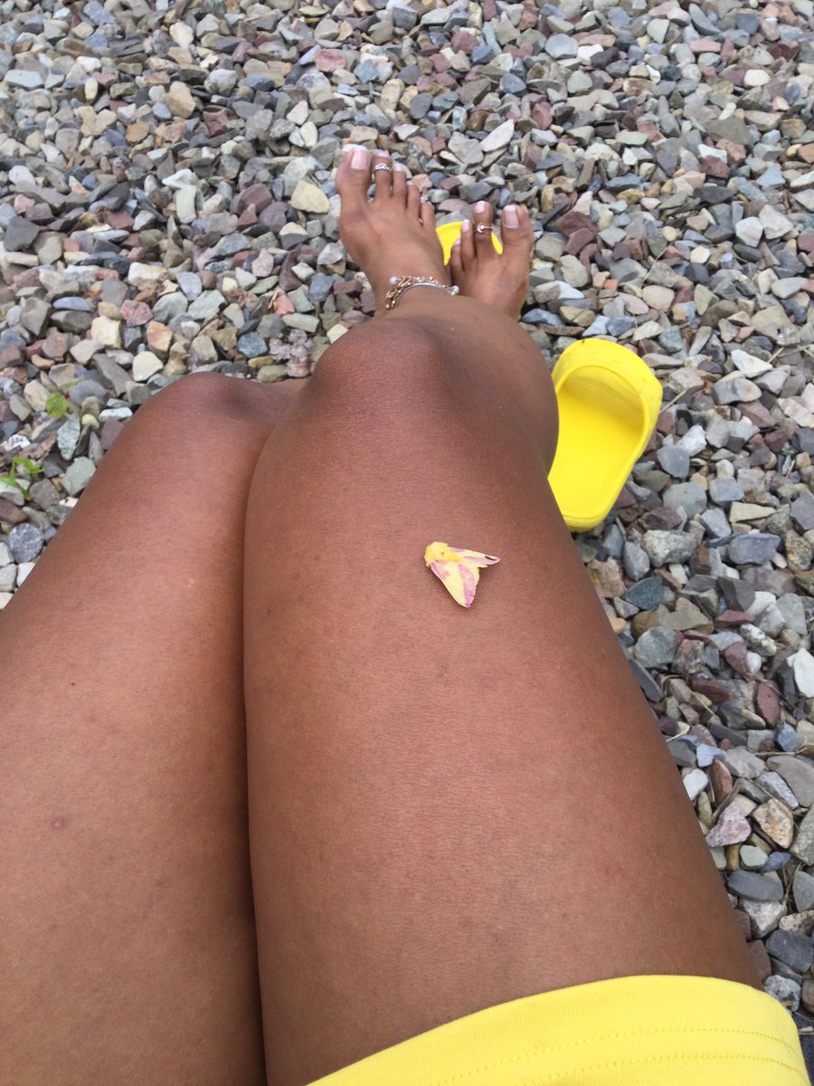 PhoenixSagaRise's tweet photo. Check me out on #camsoda and #chaturbate right now!  #streaming #camgirl #fun #cute #sexy #creamy #mami #mom #milf #feet #toes #prettyfeet #fetish #kinky #sph #joi #cei #sub #dom #switch #lovense #anal #BBGIRLS @FootParadiseRT @rt_feet https://t.co/B4heSbyDFT