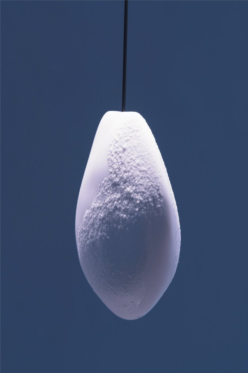 Sasa Spacal tweet media