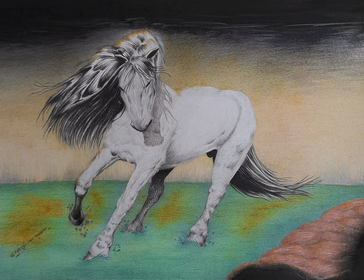 -Quem já viu aquele belíssimo garanhão branco percorrendo aquelas incríveis paisagens no cinema?

Who has seen that beautiful white stallion walking through incredible passages in the cinema?
#horse #paisagem #draw #desenhos #dibujos #cavalos #desenhistas #Fanart #art