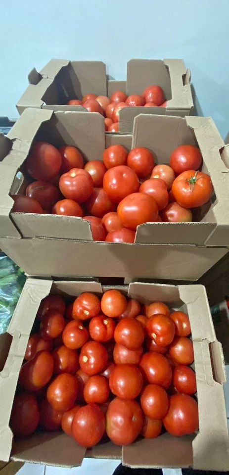 I live in an area that has 3000 acres of greenhouses. They pump CO2 into these greenhouses 24/7. Vegetables grow so fast that I can buy 25 lbs. of tomatoes for $11.99. CO2 feeds the world it doesn't destroy it. You've been lied to.