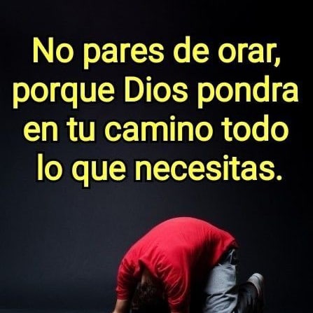 luisito67782131's tweet photo. Salmos 143:10 TLA
[10] Tú eres mi Dios. ¡Enséñame a hacer lo que quieres que yo haga! ¡Permite que tu buen espíritu me lleve a hacer el bien! https://t.co/4AZTPaIdlc