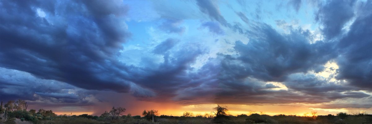 GPEC's tweet photo. Check out pieces from our 'Snapshot of Greater Phoenix' exhibit! 🎨

See all 104 works ➡️ https://t.co/B31DglBBKi | #AZarts #azartists #virtualgallery #virtualexhibit https://t.co/nYwuuVdXdK