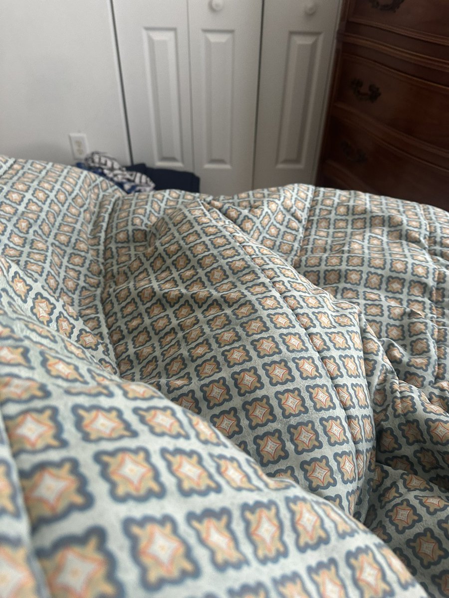 thisnolalife's tweet photo. One thing about life, me & this cat are gonna do a lazy Sunday, wherever we may be. #snugglebutts #SundayChillin https://t.co/MpBLhH4spj