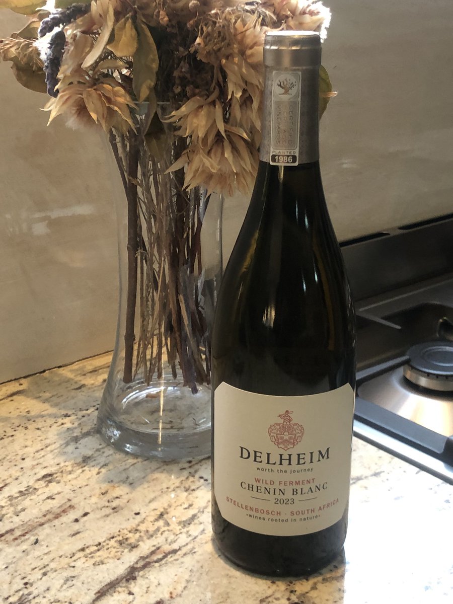 TsepangMolisana's tweet photo. Salt of the Earth 🌿
Spending a morning @inmykitchenpod with @delheimwines Wild Ferment @CheninBlancSA 2023,a storied wine from a 3.5ha vineyard planted in 1986 in @StellWineRoute
Accompanied by the uniquely South African #CapeTownFynbos
#InMyKitchenpod
#Delheim
#DrinkChenin https://t.co/sKgPfmvtB4
