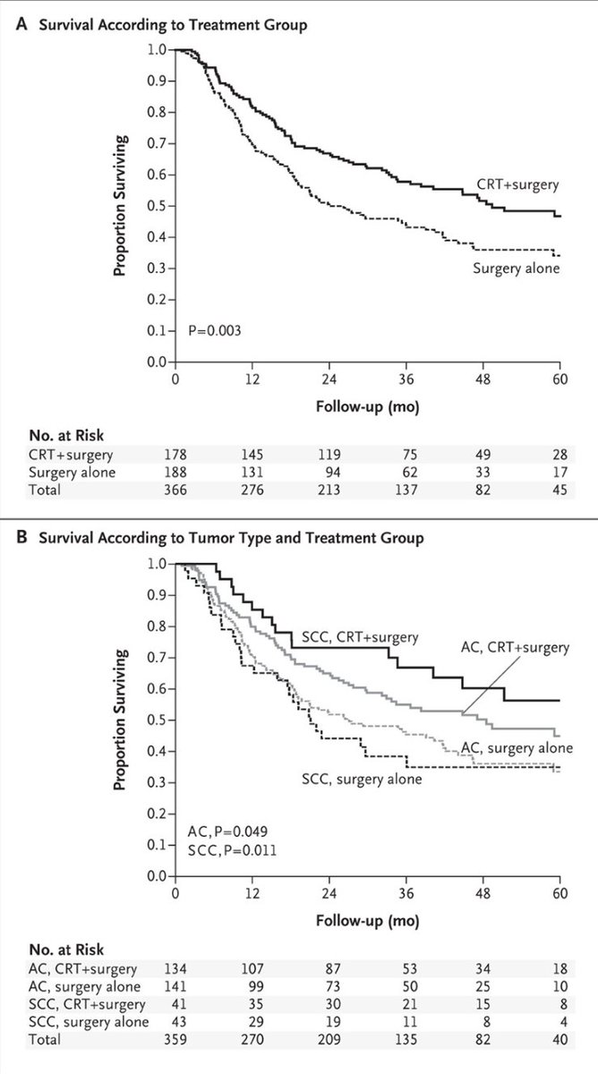 Mark Lewis, MD, FASCO tweet media