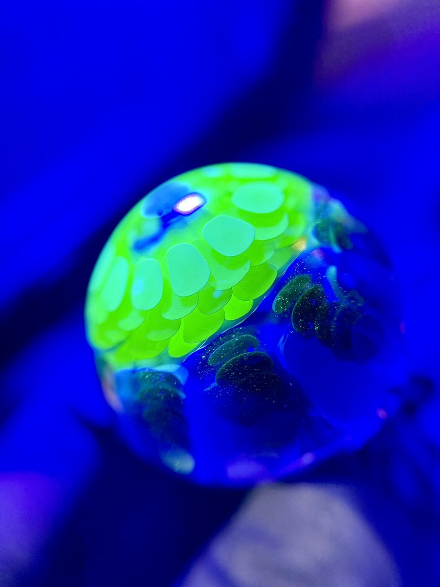 SapGlass's tweet photo. Unbreakable Rainbow Ripper 🌈 https://t.co/vC4ySIOI7c