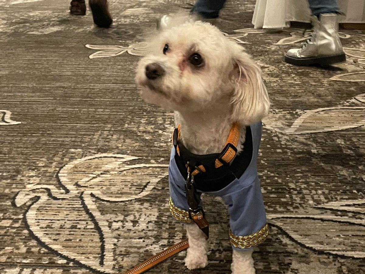 PrismsPalette's tweet photo. Found this cosplaying puppy at Trek Long Island! @CaptainsQuadr https://t.co/zTxt9FsdBg