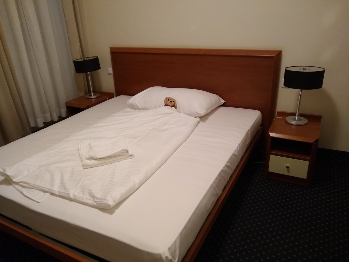 Abends sind wir dann endlich in unserem Hotel angekommen. 
"Hallo Mensch, hab mein Bett gefunden! Wo is' denn deins?" 😁