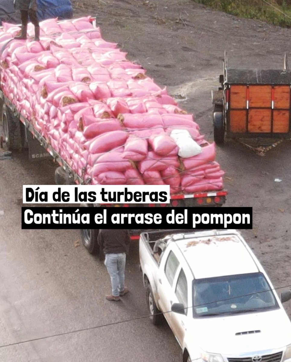 Hoy 2 de junio es el #diadelasturberas 

Este día será recordado en CHILOÉ como el día en que el gobierno del presidente <a href="/GabrielBoric/">Gabriel Boric Font</a> nos condenó a quedarnos sin agua .

Continúa el arrase del pompon .