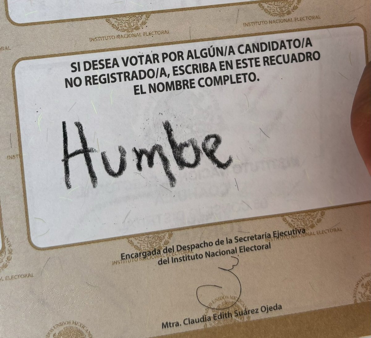 rickyam_'s tweet photo. y ustedes ya salieron a votar?😘 https://t.co/gmvummXYZF