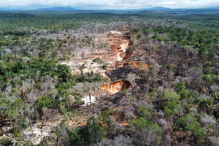 Junto a nuestra FANB, <a href="/CEOFANBVE/">CEOFANB</a> y con la conducción y liderazgo del Presidente <a href="/NicolasMaduro/">Nicolás Maduro</a>, hicimos una inspección técnica a la mina #BullaLoca, recientemente desmantelada por la heroica acción de nuestra FANB de grupos irregulares.

1/3
<a href="/vladimirpadrino/">Vladimir Padrino L.</a>