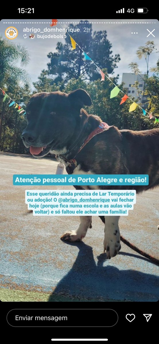 Eniederson's tweet photo. Alguém de Porto Alegre pra adotar?

Ele foi o único que sobrou no abrigo Dom Henrique no Menino Deus.

Aqui o Instagram:

https://t.co/o1GCn6mFu0 https://t.co/7iSo5CAiru