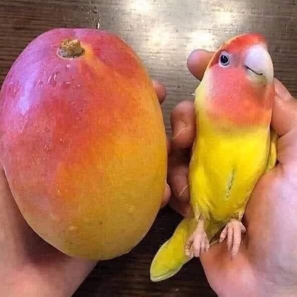 El mismo artista hizo estas dos obras😍