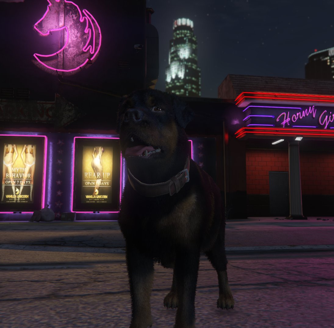 LIU PERRU RP tweet media