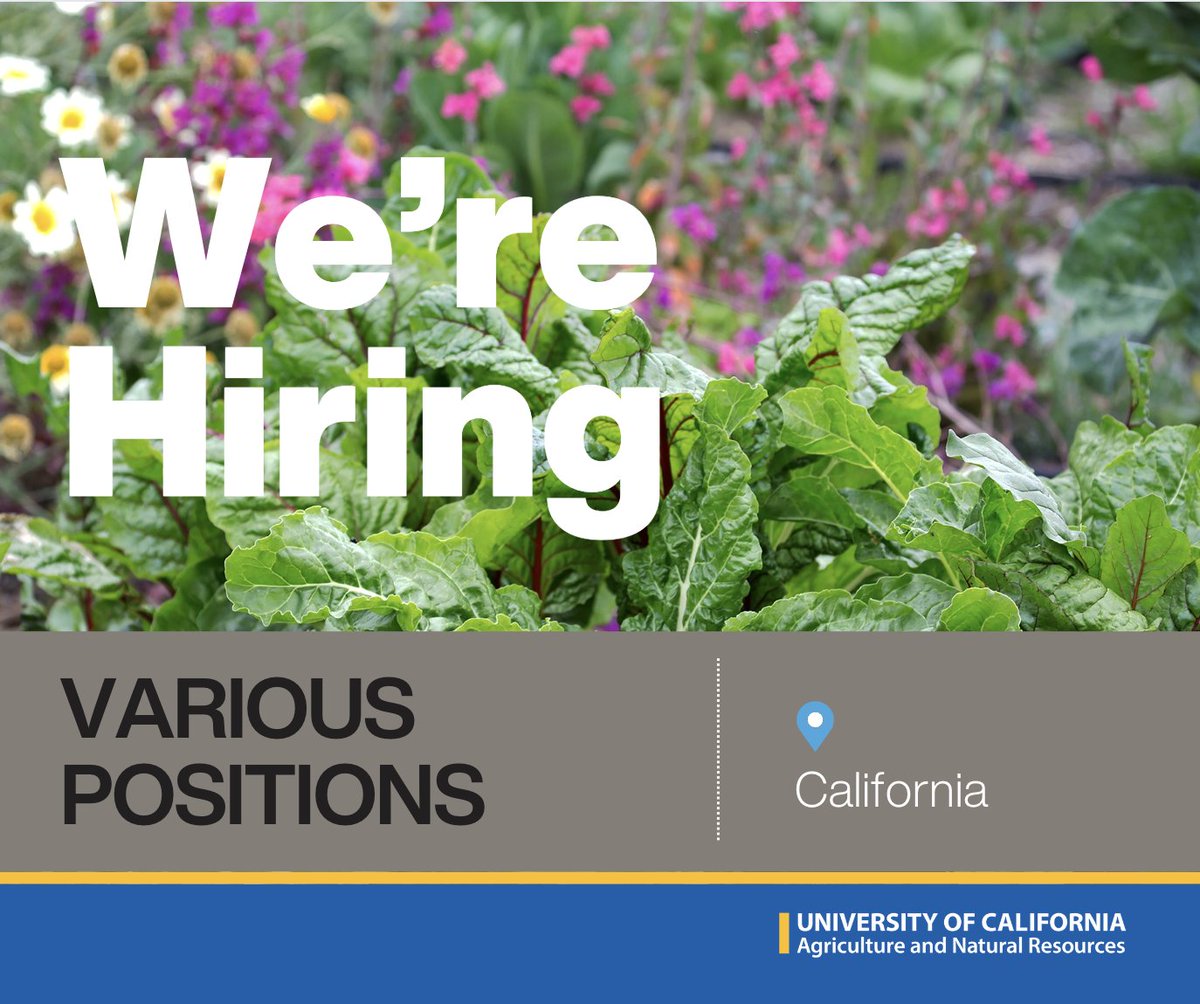ucanr's tweet photo. Visit https://t.co/hrW1SbuZrh for a list of our current job openings.  We have positions available throughout #California.  #hiring #HiringNow #JobAlert https://t.co/vIVQOdkAwi