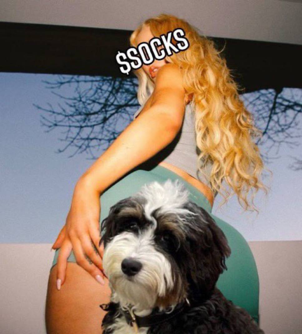 NFTswish's tweet photo. @IGGYAZALEA Tell $socks to get out the way 😂 https://t.co/owVBDXIhj5