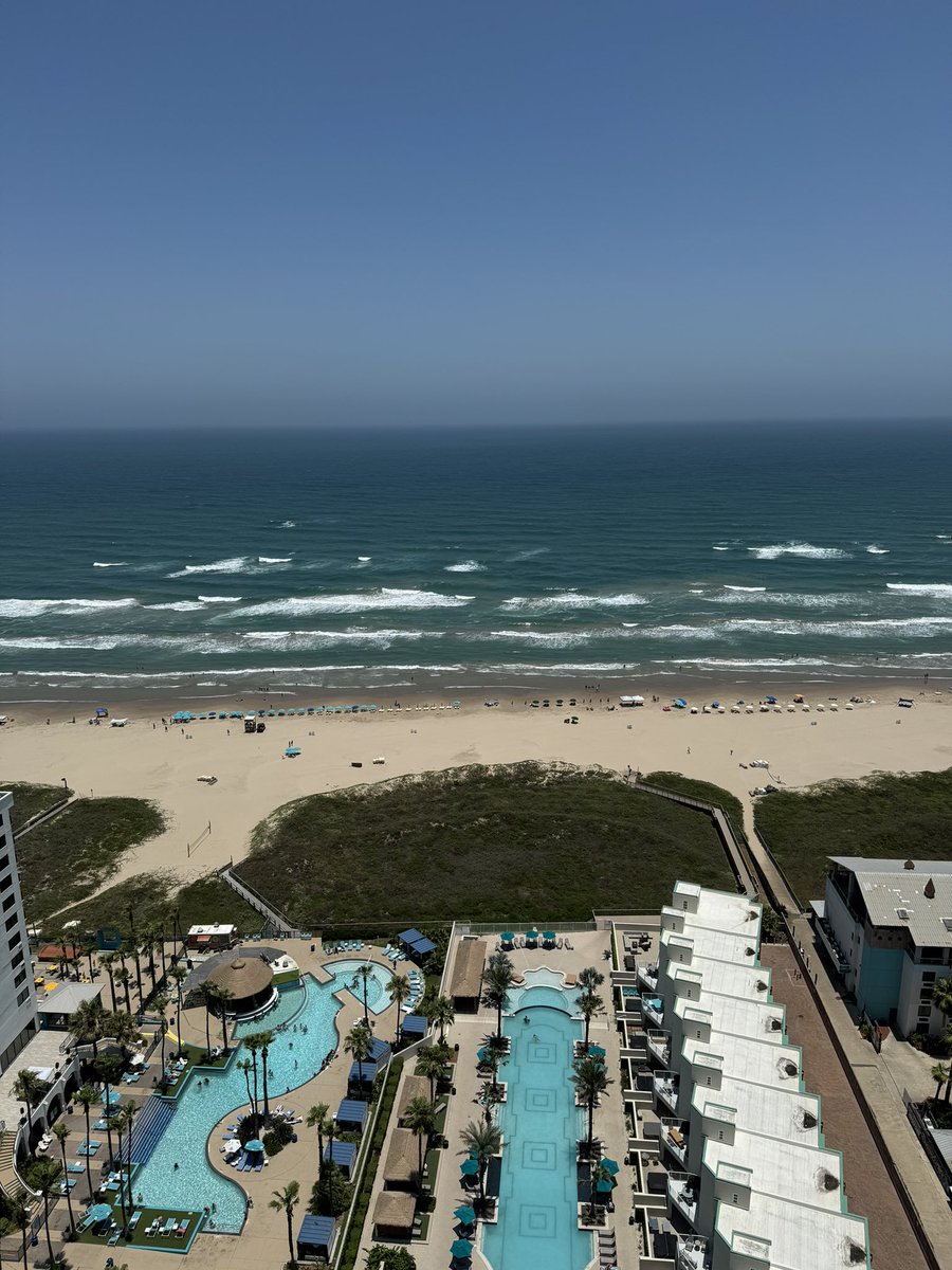 David Barnard tweet media