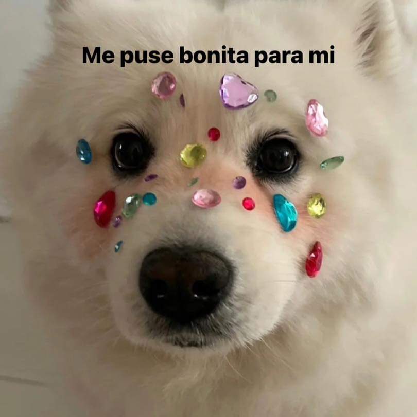 🌙 mini textos (@soyminitextos) on Twitter photo 