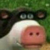 MAVERICKlSMS's tweet photo. . . . did you just ask me how i shit . https://t.co/BZTmos8Kul