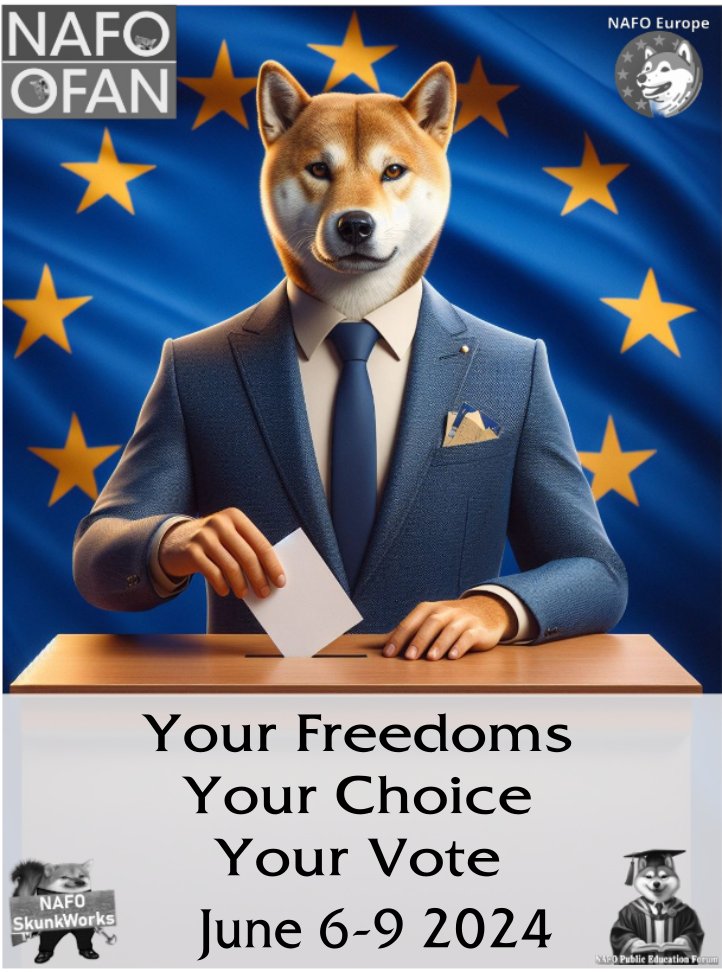 michaelnight21's tweet photo. SPO goes Poland. Use your votes wisely, Polish friends!
#UseYourVote
#GoVoteEU
#SPO24 https://t.co/xG17W1h8FM