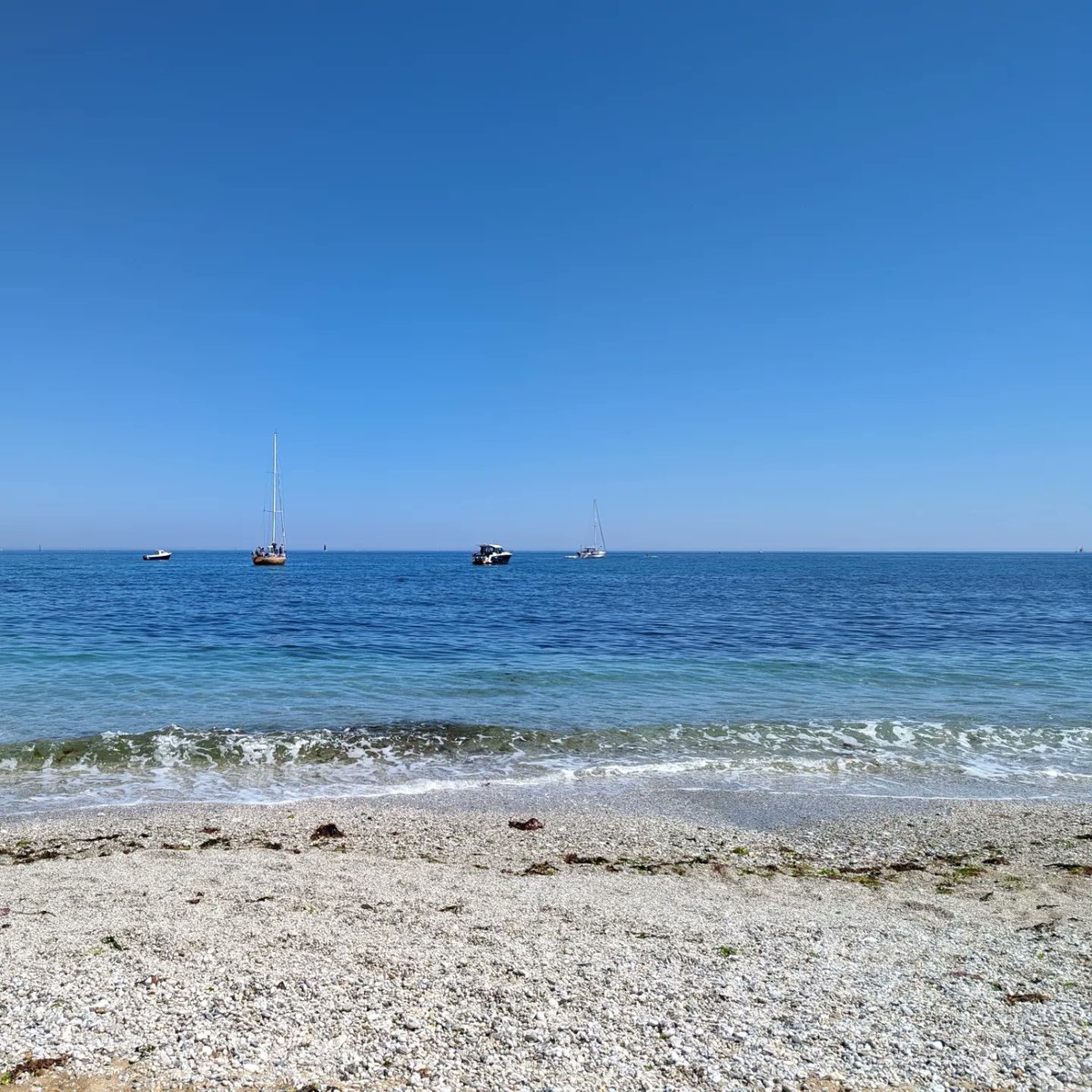 Just a bit gorgeous down at Bream Cove, nr Falmouth today...only a 10 min drive from us here at <a href="/Penryn_holidays/">Driftwood_Penryn_Cornwall</a> #swim #cornwall #cornishcoast #beach #beachlife #summer #sun #swimming #beachday #holiday #holidayapartment #vacation