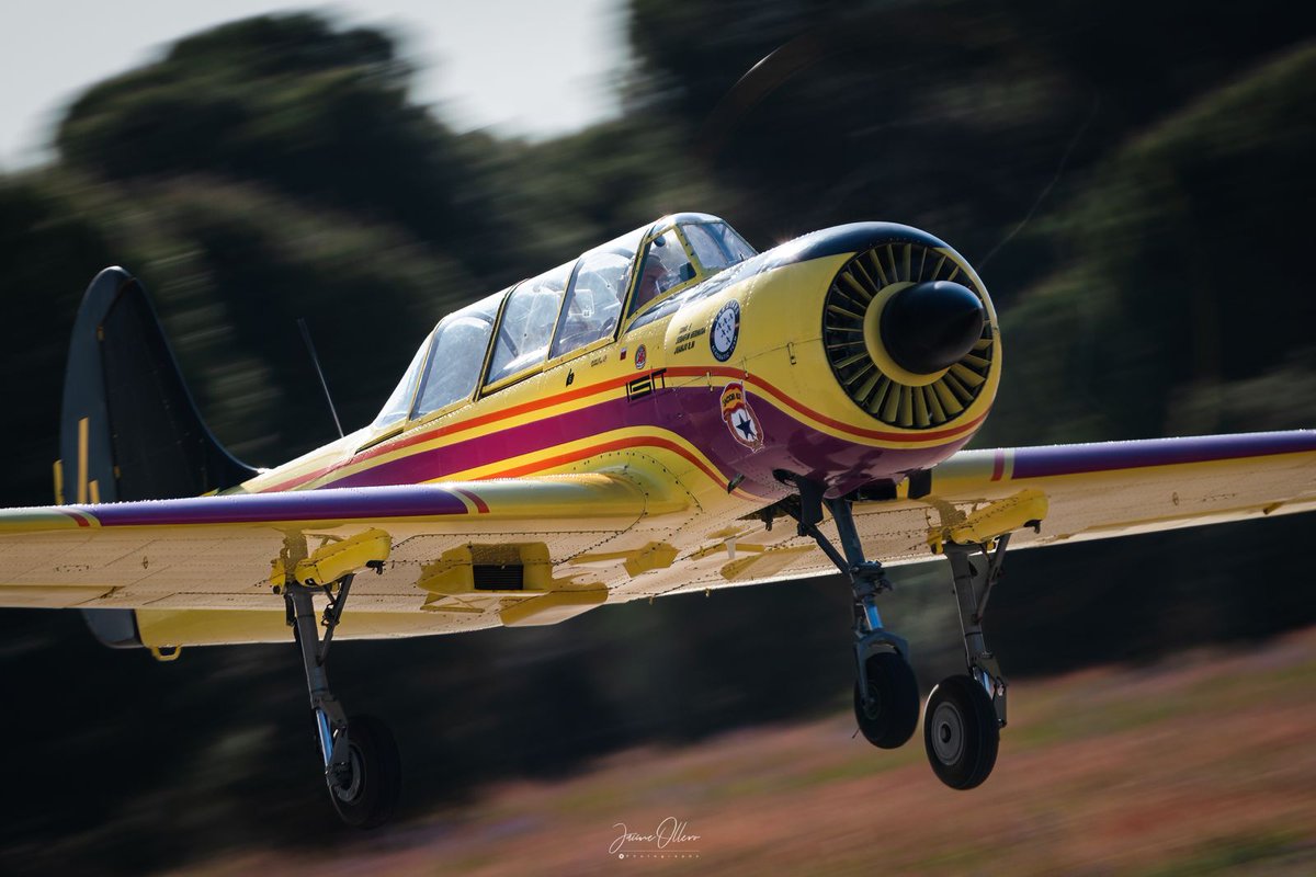 jolleroperea's tweet photo. @fl360aero Absolutamente descorazonador. Mi más sincero pésame a la familia Jacob y Yaktstars y a la familia de Coco Rey. Vuelta alto amigo. https://t.co/VlKPzE4gpe
