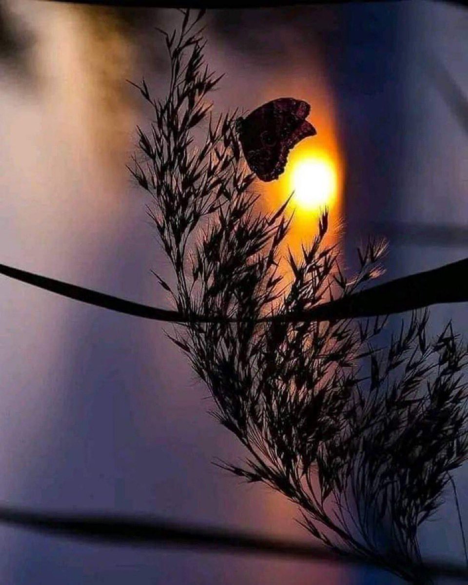 xssx_2030's tweet photo. تَعَلم الصِدقْ قَبْل الْحُبّ لأَن 
اللعِبّ بِالمَشَاعِر أَكْبَر جَريِمَه .🥀 https://t.co/f63VvORWF2