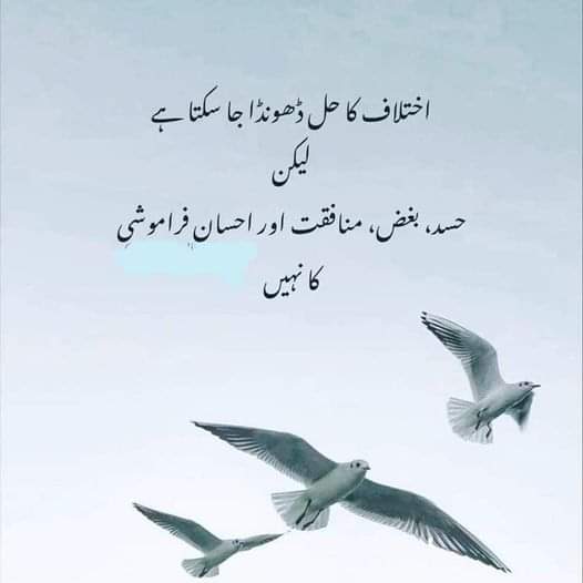 PareeshayGull97's tweet photo. https://t.co/LgiIhSQIsE