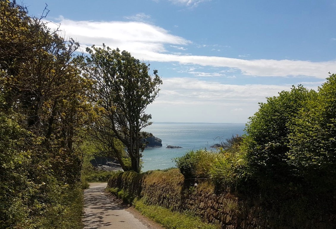 We've just released July dates for our Stable Studio in the garden.  It's the perfect place to walk the Pembrokeshire Coast Path, enjoy all that Solva has to offer - plus the world-famous Solva Edge Festival weekend is available! haroldstonhouse.co.uk