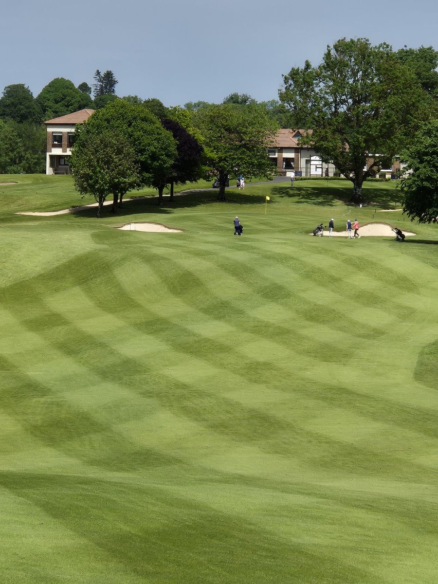 David Perdisatt tweet media