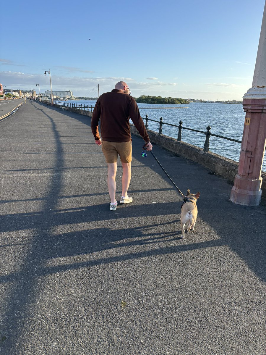 MissBatchelor tweet media