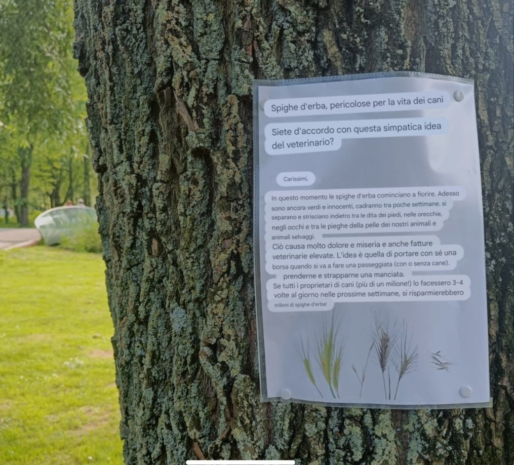 SMannapoli's tweet photo. Rembrandtpark di #Amsterdam, fogli sugli alberi per avvertire i proprietari dei #cani del pericolo delle spighette di erba (ingrandire foto per leggere testo tradotto da Google translate) https://t.co/B9h8vkIwxE