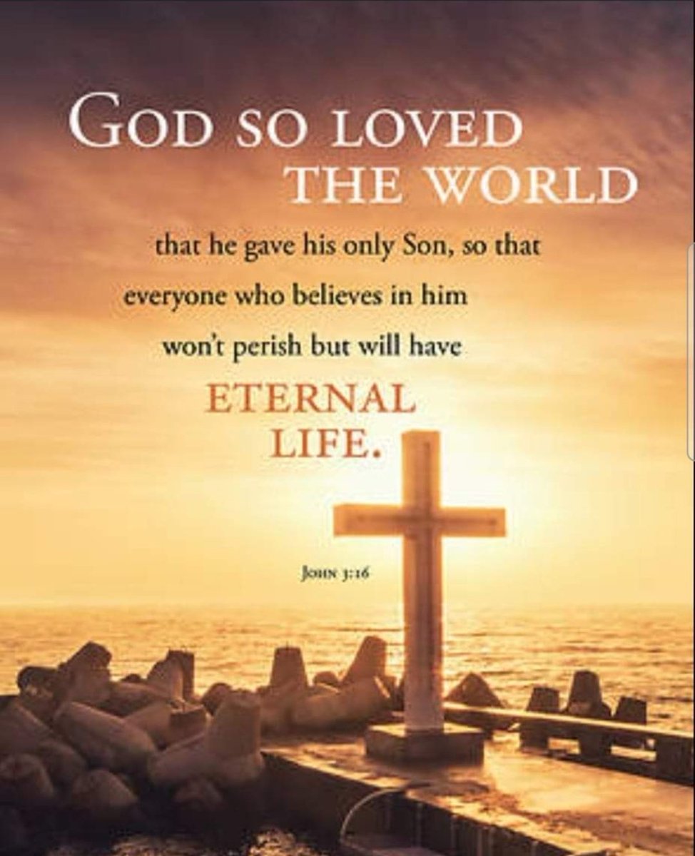 Ed Ciucevich tweet media