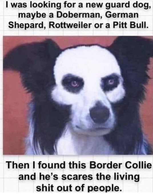 🤣🤣🤣 https://t.co/NNF3byoxSy<a href="/tag/supportsmallbusiness"class="tags"><span>#supportsmallbusiness</span></a>