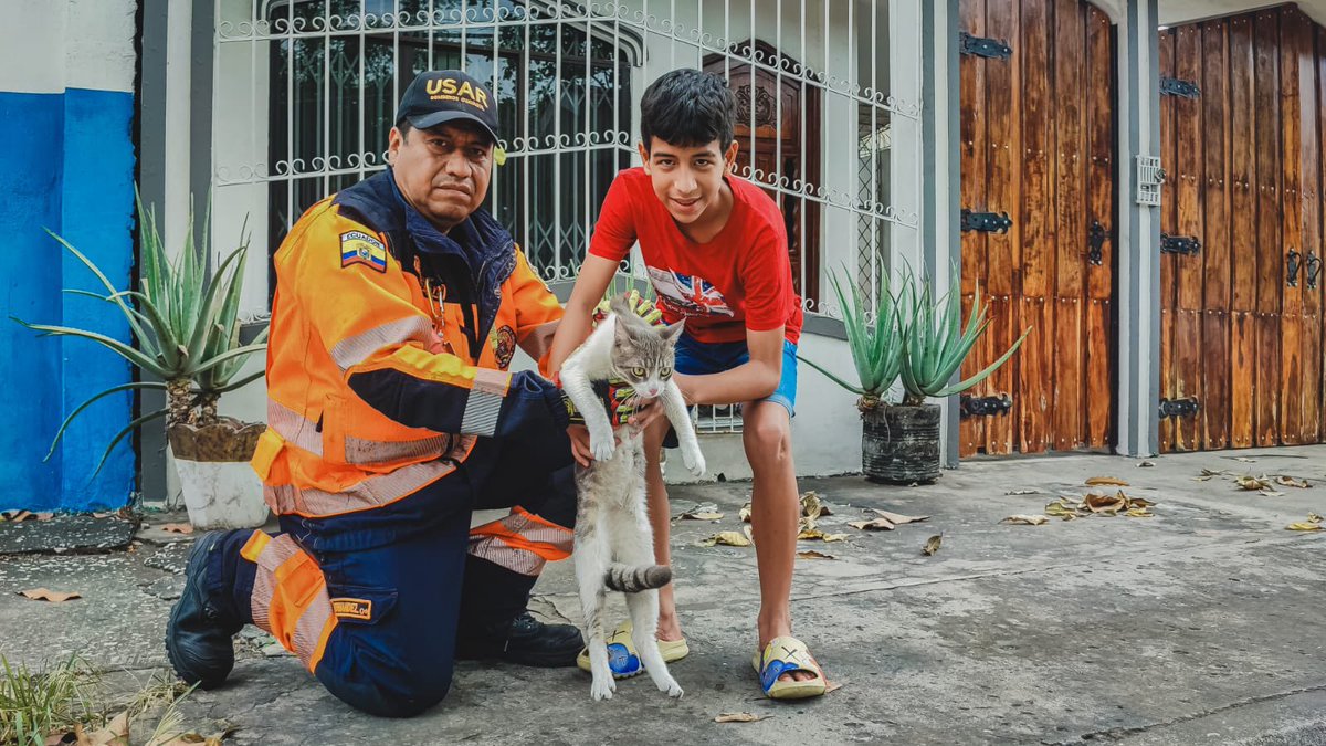BomberosGYE's tweet photo. #BCBGInforma | Tras recibir una alerta sobre un felino atrapado en lo alto de un muro, despachamos una unidad de rescate que logró poner a salvo al animalito y entregarlo a su dueño. https://t.co/oJTQ7SFpYH
