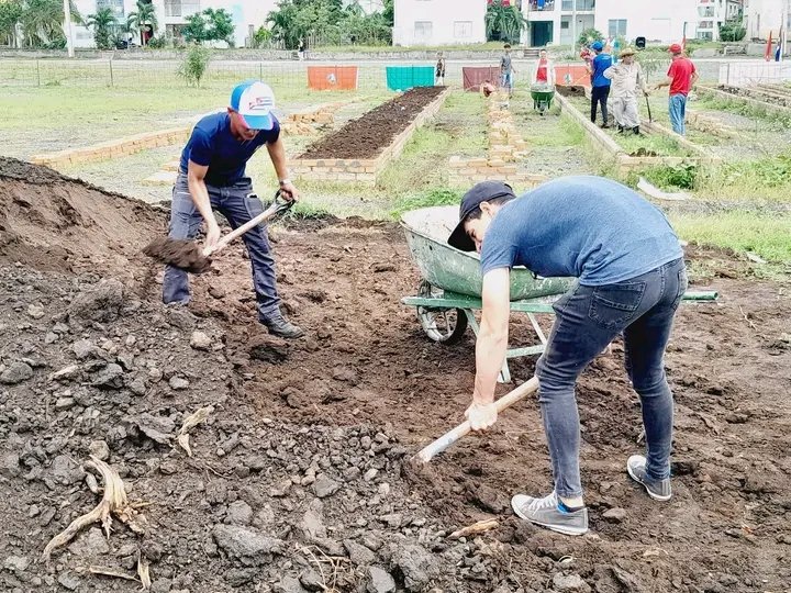 La juventud cubana, holguinera por más señas, en un de los frentes de batalla de estos tiempos, la producción de alimentos, este domingo fue abanderada la brigada juvenil de trabajo productivo Luis de Feria Garayalde
#HolguinSi 
#CreoEnTi