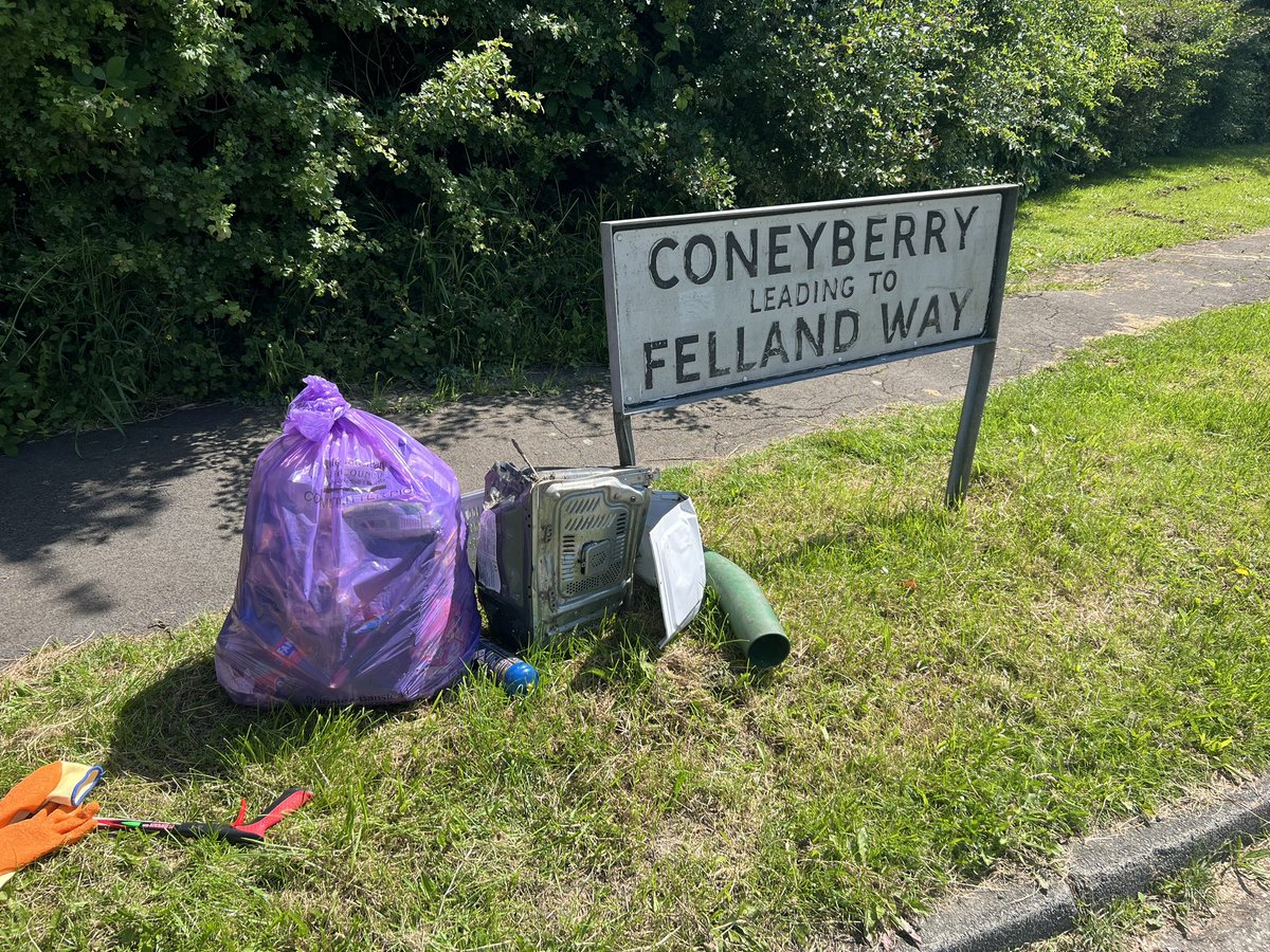 WGSPG community litter pick today. Quite therapeutic, on such a beautiful morning. Interested in joining us and help make a difference? We meet the first Sunday of the month, 10am Woodhatch Park #Community #litterpick