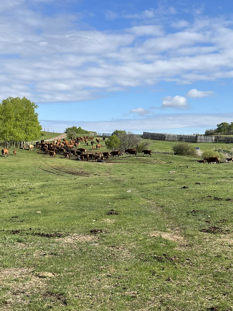 Pasture haul 2024 is now complete!