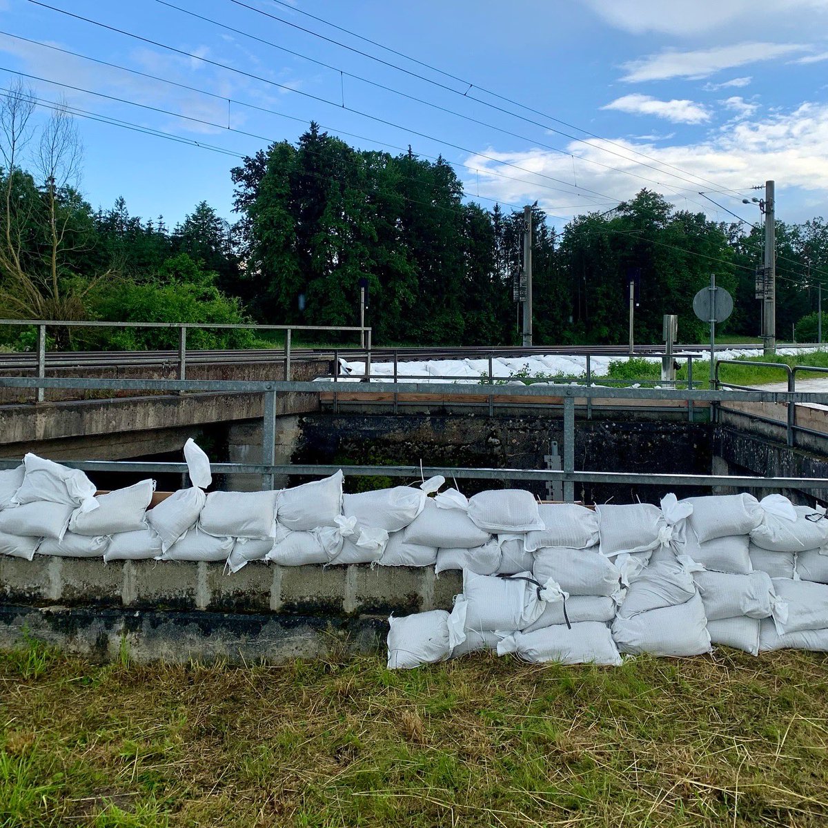 Peter-Georg Lutsch tweet media