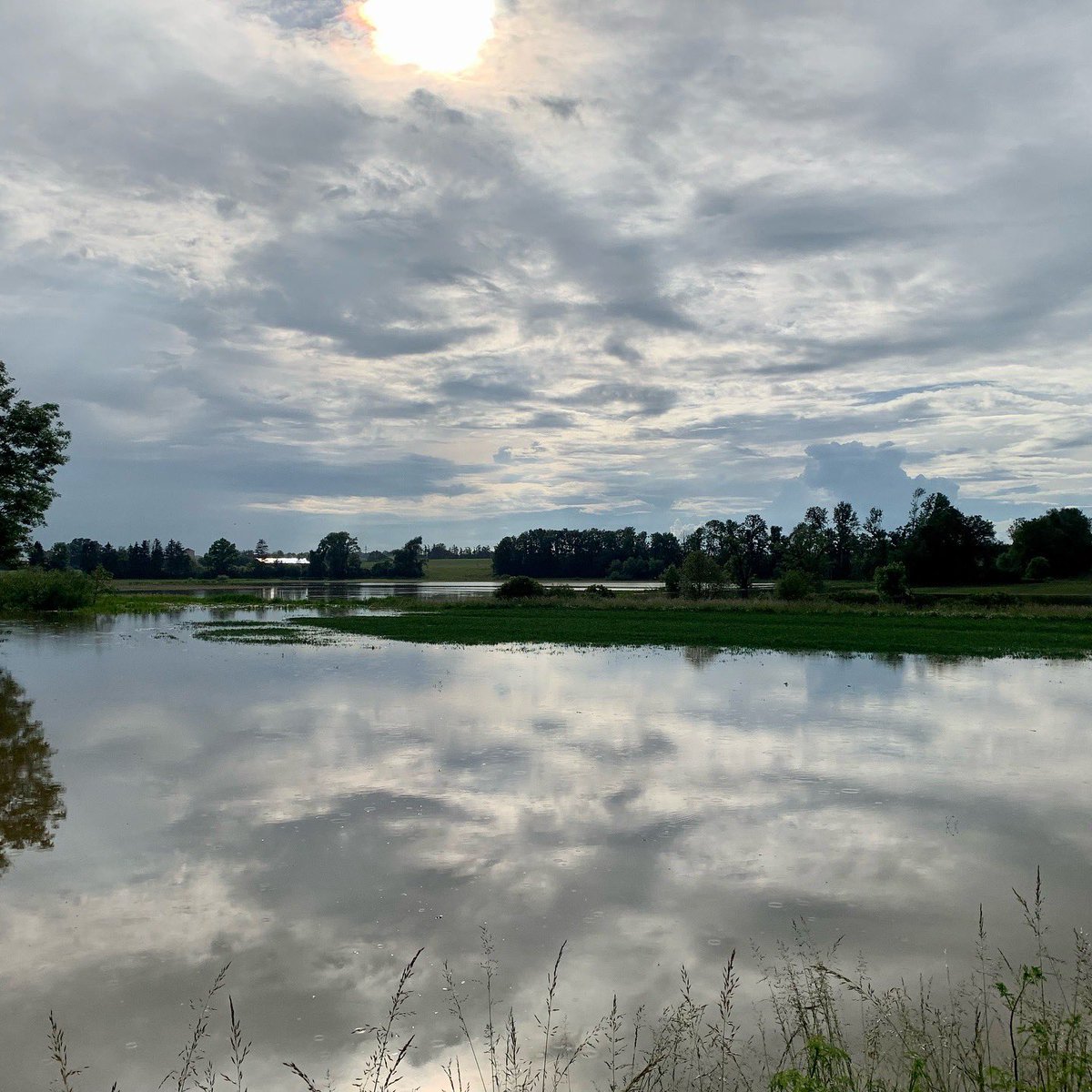 Peter-Georg Lutsch tweet media