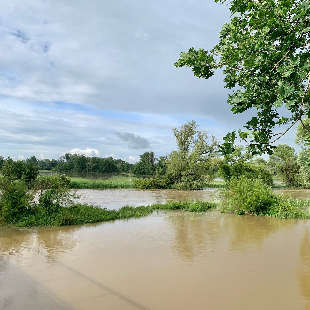 Amperhochwasser 2024 
Die vermeintlichen Seen und Flüsse sind eigentlich Wiesen und Felder… 

#moosburg #moosburganderisar #amper #bayern #hochwasser #hochwasser2024 #freising #landkreisfreising