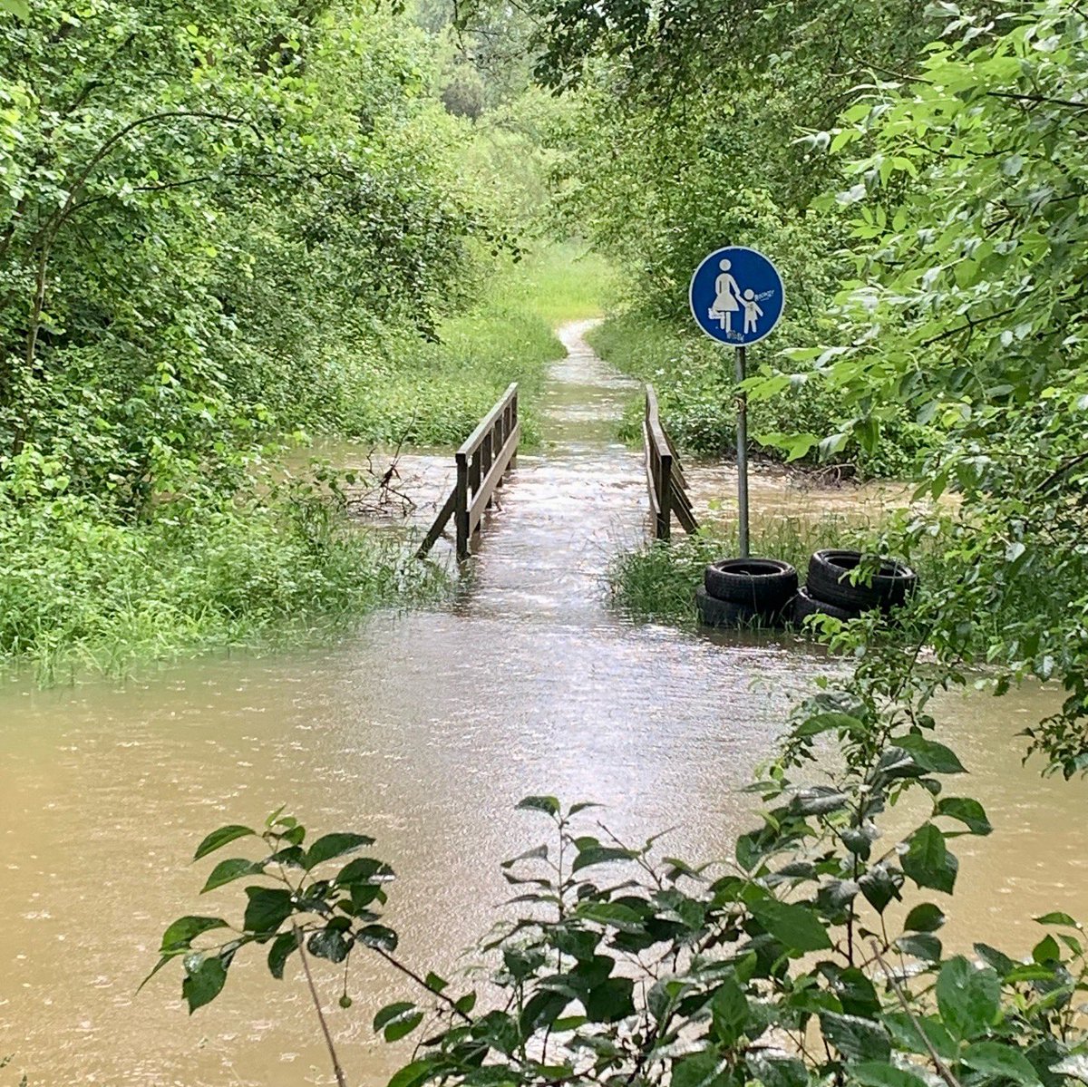 Peter-Georg Lutsch tweet media