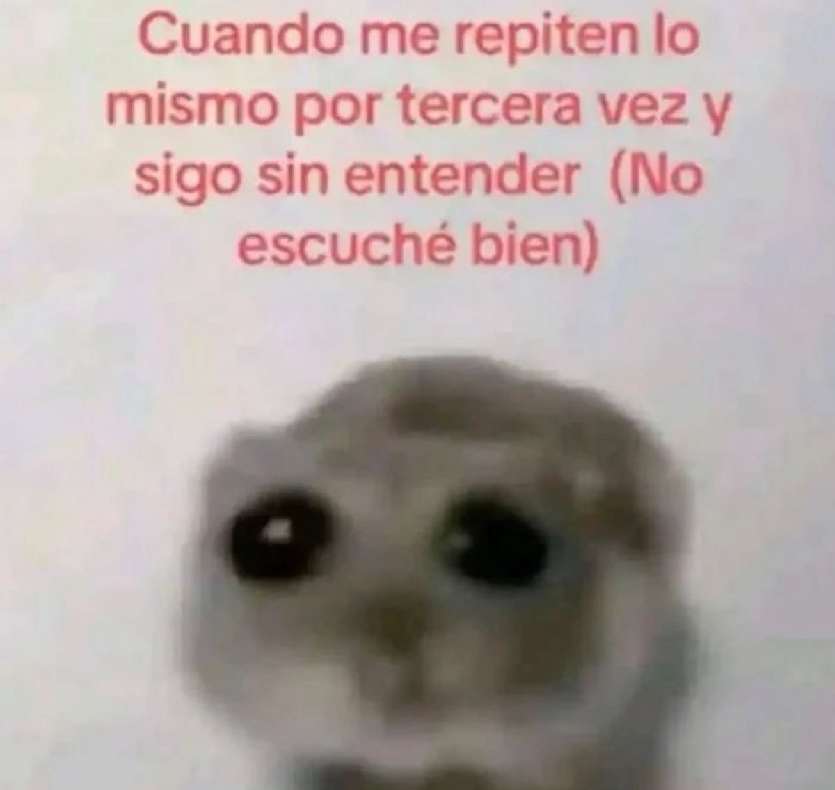 piña sin pizza (@skereunpesado) on Twitter photo 