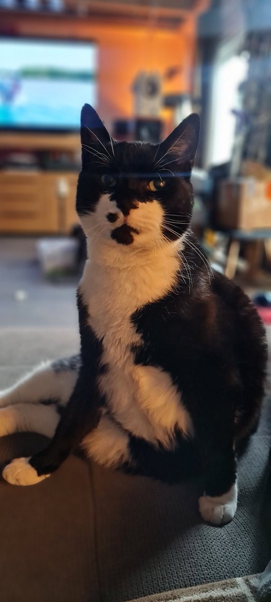 MissMiraculous aka @labertaschi.bsky.social tweet media