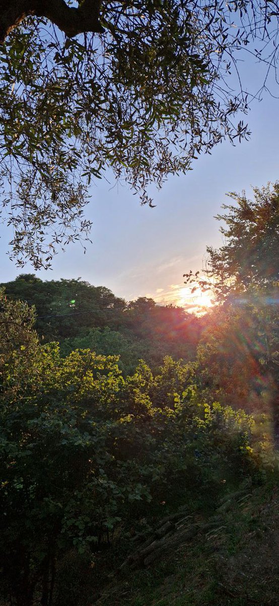 sabyna13's tweet image. No caption needed ❤️ 
#sunset
#wonderfulnature