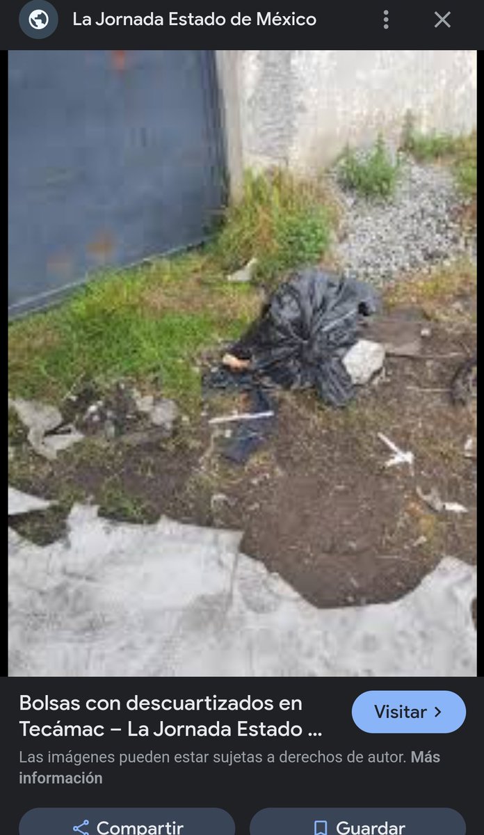 SmirnovMiIdolo's tweet photo. @Martin_GDL__ @maps_black Entre ustedes pensé que se trataban como basura, si hasta entierran a los muertos en bolsas de basura https://t.co/gHetzVyaRz