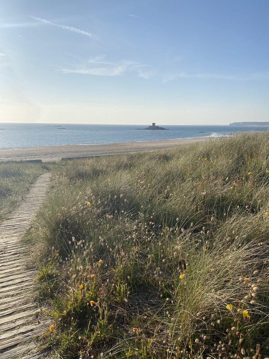 stocksy71's tweet photo. Evening walkies with #Fluffinator βοΈ. Mentally taken back to my youth by the πΆ sunny sounds of β¦@TheWatersplashβ© drifting on the breeze. #islandinstitution https://t.co/rKuDHasDW1
