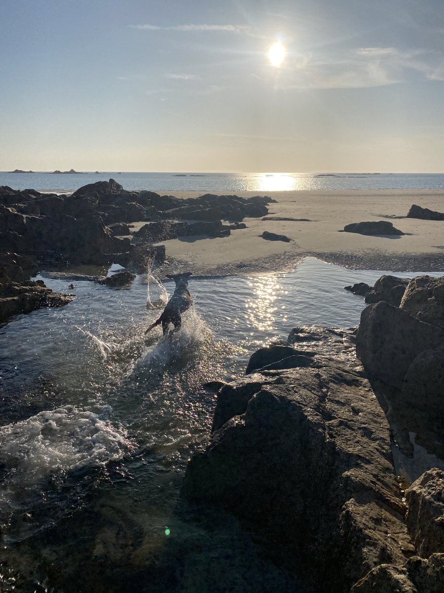 stocksy71's tweet photo. Evening walkies with #Fluffinator βοΈ. Mentally taken back to my youth by the πΆ sunny sounds of β¦@TheWatersplashβ© drifting on the breeze. #islandinstitution https://t.co/rKuDHasDW1