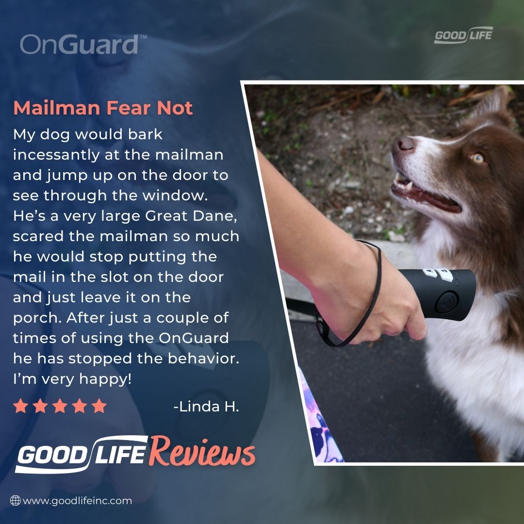 shopgoodlifeinc's tweet image. Training your dog can always be a challenge, no matter their age. So why not make your life a little easier with the OnGuard?

#goodlifeinc #bark #barkcontrol #humane #humanebarkcontrol #dog #safe #pet #doglover