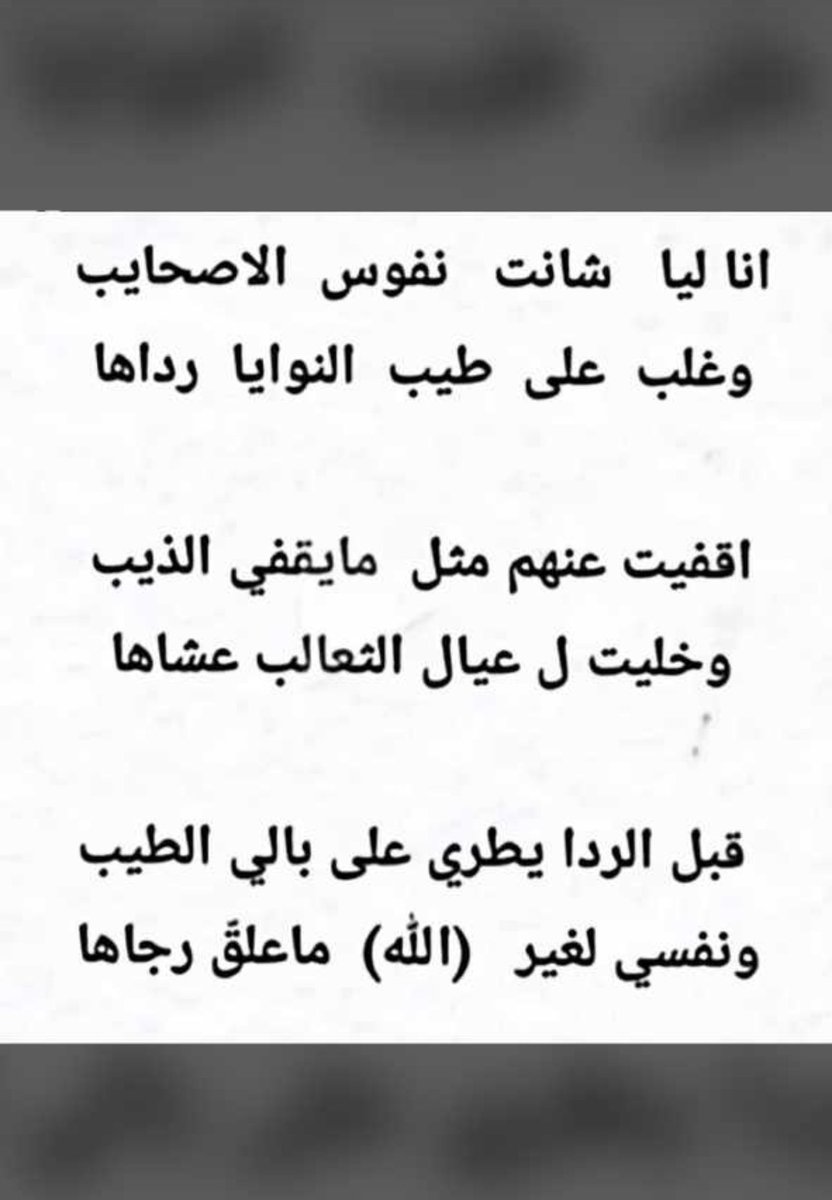 aborashed480's tweet photo. #مساء_الخير https://t.co/9vl4VFTeTm